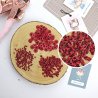 Oeillet standard à l'unité - Cerise | RitaRita