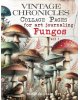 Maremi's Small Art - Fungos vol.1 - Vintage Chronicles