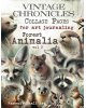 Maremi's Small Art - Forest Animalia vol.2 - Vintage Chronicles