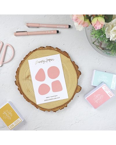 Steffi Ried - Dies Irregular - Summer Memories