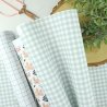 Papier laminé 43x72 - Mini vichy mint | Alúa Cid