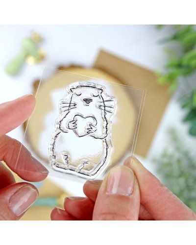 Alúa Cid - Tampon clear - Marmotte