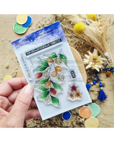 Chou & Flowers - Tampon clear A7 - L'arganier - Le chant des dunes