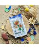Chou & Flowers - Tampon clear A7 - Fleurs de safran - Le chant des dunes