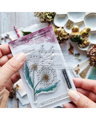 Tampon clear A7 - Pissenlit - La clé des souvenirs | Chou & Flowers